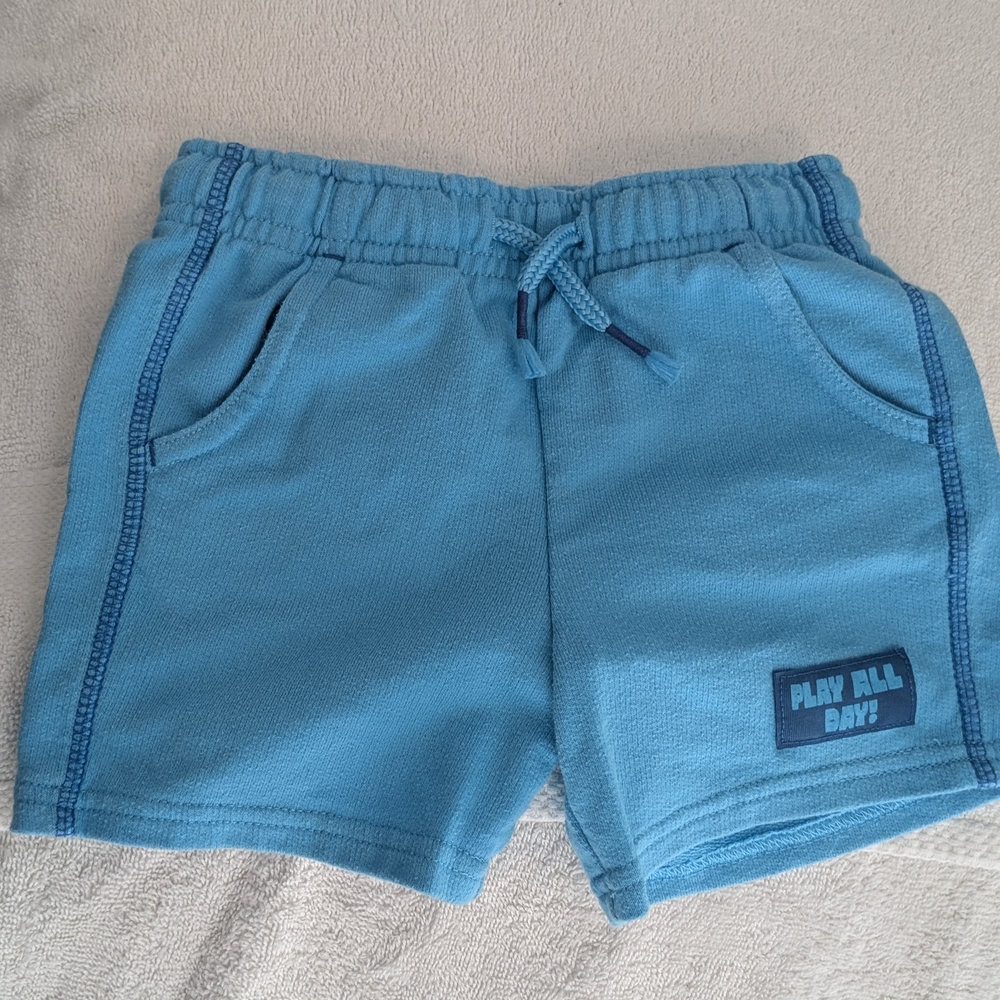 Cat & Jack Light Blue Kids Shorts